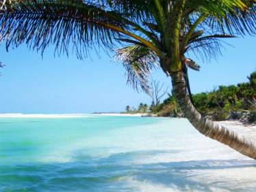 Konkurs "Wygraj wakacje marzeń z Orton Flex"