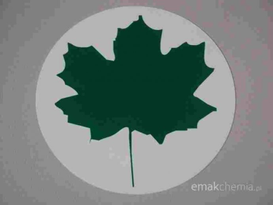 Konkurs "Wygraj zielony listek dla początkującego kierowcy"