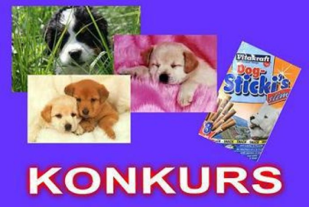 Konkurs "Dog Sticki's"