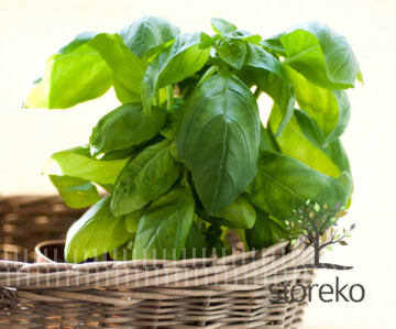 Konkurs "Letnie orzeźwienie" Kraków