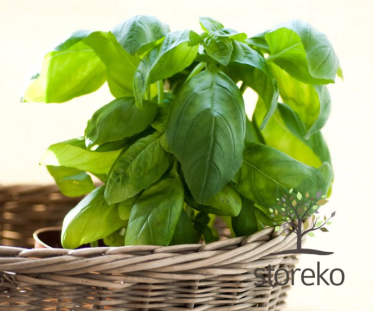 Konkurs "Letnie orzeźwienie" Kraków