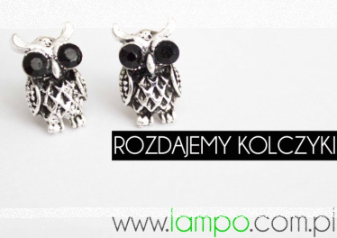 Konkurs "Polowanie na sowy"