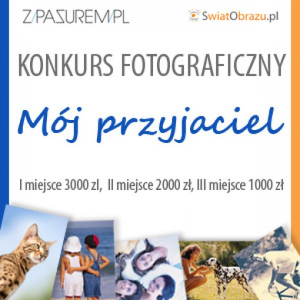 Konkurs "Mój przyjaciel"