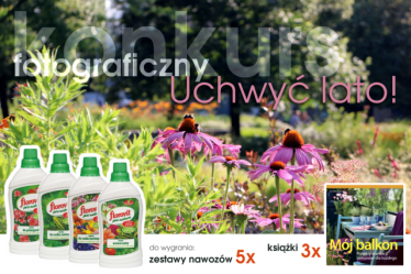 Konkurs "Uchwyć lato!"