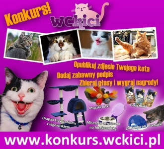 Konkurs "WCkici" fotograficzny