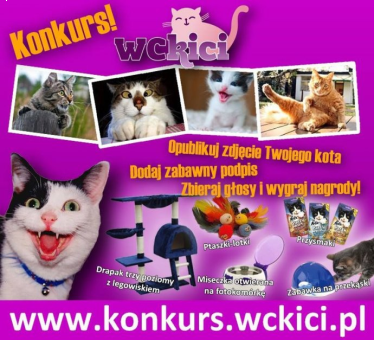 Konkurs "WCkici" fotograficzny