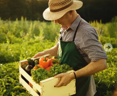 Do wygrania 6 dużych paczek z ekoproduktami