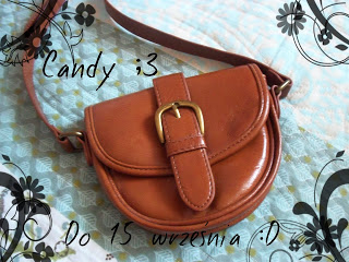 Konkurs "Niespodzianka ( 1 rok bloga i Candy ! )"