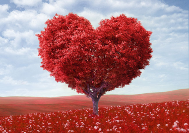 Konkurs "Po kres czasu"