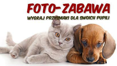 Konkurs "Mój przyjaciel pies i kot" fotograficzny