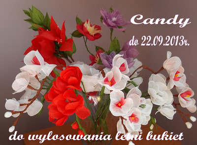 Konkurs "Candy nr 2" dla blogerów