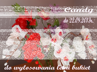 Konkurs "Candy nr 2" dla blogerów