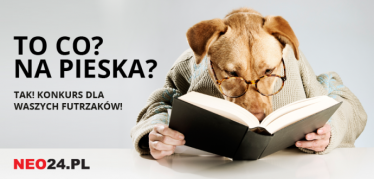 Konkurs "To co? Na pieska?"