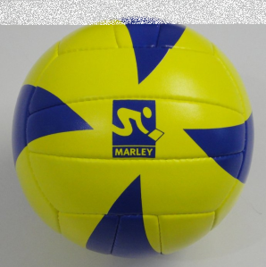 Konkurs "Piłkobranie Marley Euro Volley 2013"