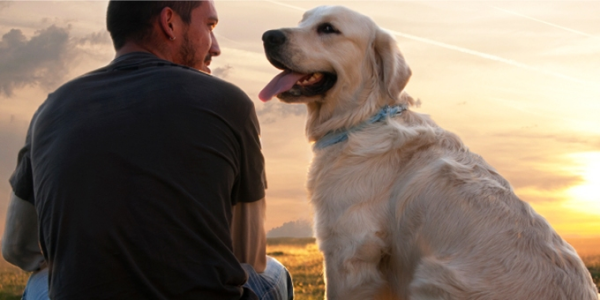 Konkurs "Mój zwierzak na wakacjach" fotograficzny