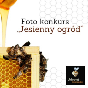 Konkurs "Jesienny ogród" fotograficzny