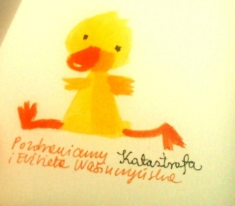 Kaczka Katastrofa – konkurs poetycki