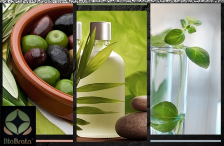 Do wygrania 3 bony na ekozakupy