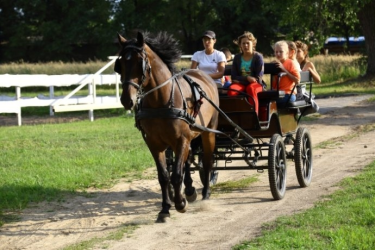 Konkurs "Aktywne rodzinki NA START po nagrodę" fotograficzny