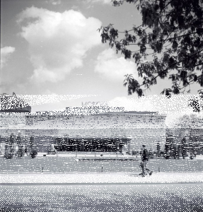 Daj cynk gdzie było, gdzie stało, Warszawa