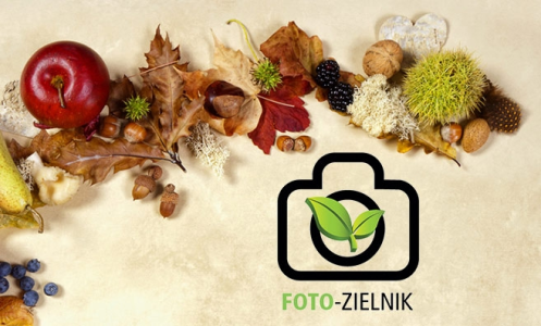 Konkurs "Foto-zielnik"