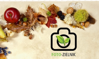 Konkurs "Foto-zielnik"