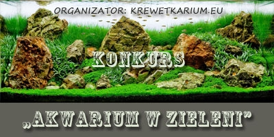 Konkurs "Akwarium w zieleni"