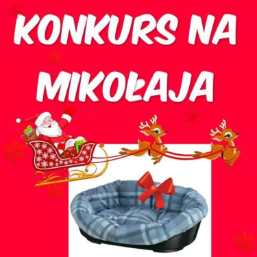 Konkurs "Mikołajki z Emusklep"