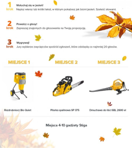 Konkurs "Szelest Stigi"