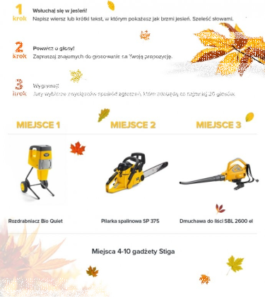 Konkurs "Szelest Stigi"