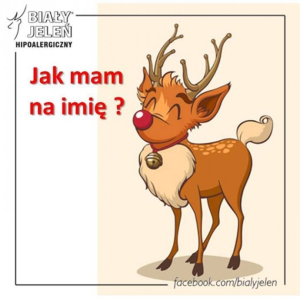 Wymyśl imię dla świątecznego Jelonka