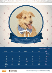 Wyjątkowy kalendarz 2014