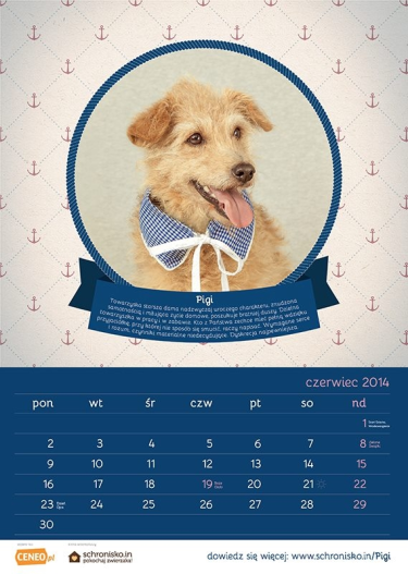 Wyjątkowy kalendarz 2014