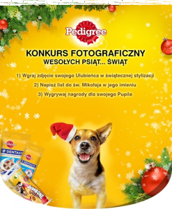 Konkurs "Wesołych psich świąt"