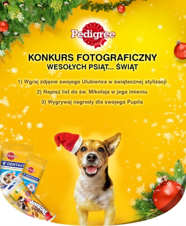 Konkurs "Wesołych psich świąt"