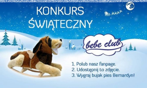 Wygraj bujak pies Bernardyn