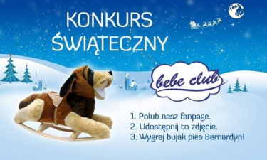 Wygraj bujak pies Bernardyn