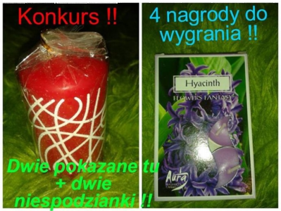 Konkurs "Najpiekniejsza ozdoba/kartka" fotograficzny