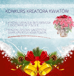 Konurs świąteczny kwiaciarni wysyłkowej do godz. 12.00