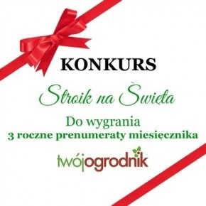 Zrób sobie prezent na Święta  -  wykonaj stroik i wygraj "Twojego Ogrodnika" fotograficzny