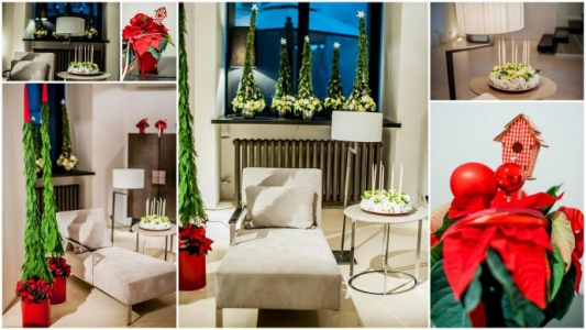 Świąteczny konkurs - wygraj gwiazdę betlejemską