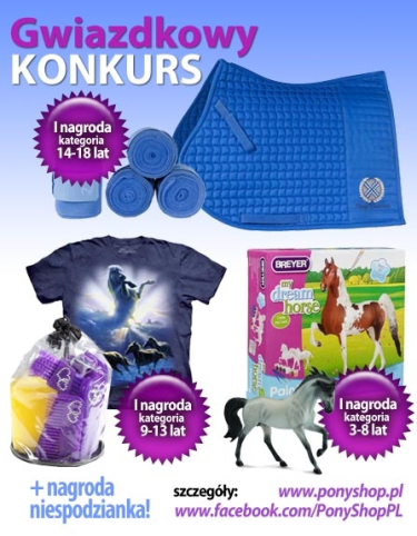 Konkurs "Mój wymarzony koń" fotograficzny