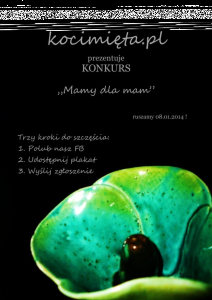 MAMY DLA MAM