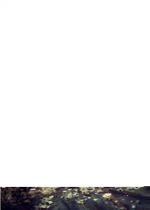 Minikonkurs "Szczęśliwe stopy"