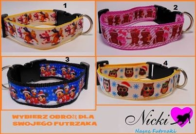 Wygraj obrożę lub rabat!