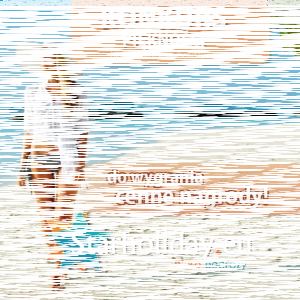 Konkurs fotograficzny "Piękności styczeń i luty 2014"