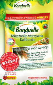 Konkurs "Moje wymarzone wakacje"