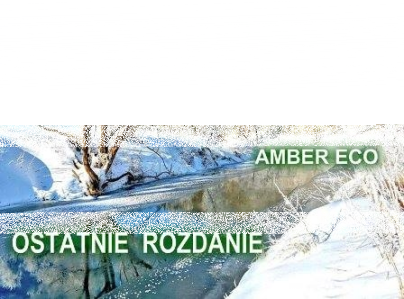 Rozdanie z Amber Eco