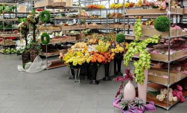 Walentynki z Kwiaciarnią Walentynowicz, Elbląg