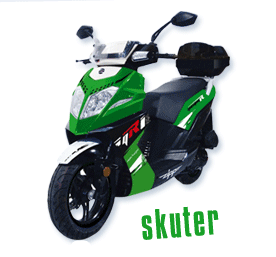 Wygrywaj z delfinem konkurs Blue Dolphin Tapes!